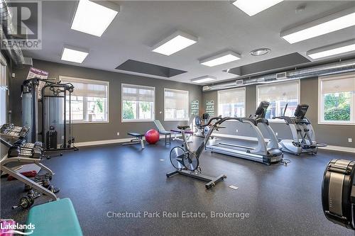 123 Conservation Way, Collingwood, ON - Indoor Photo Showing Gym Room