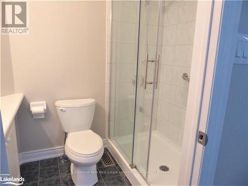 23 Green Briar Drive, Collingwood, ON - Indoor Photo Showing Bathroom