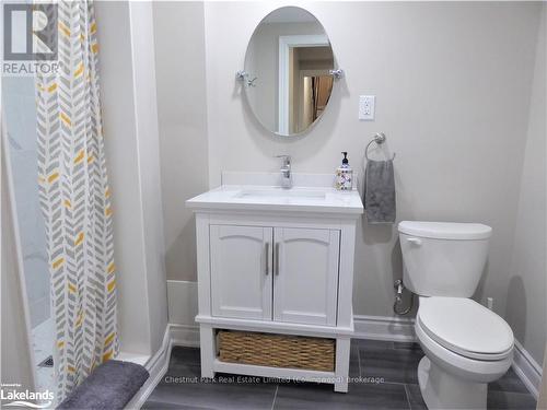 23 Green Briar Drive, Collingwood, ON - Indoor Photo Showing Bathroom