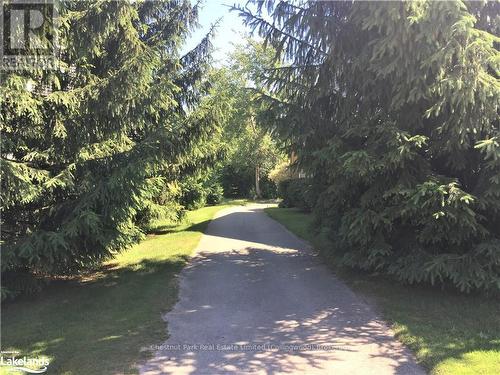 23 Green Briar Drive, Collingwood, ON - Outdoor With View