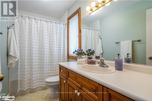 11 Wickens Lane, Blue Mountains (Thornbury), ON - Indoor Photo Showing Bathroom