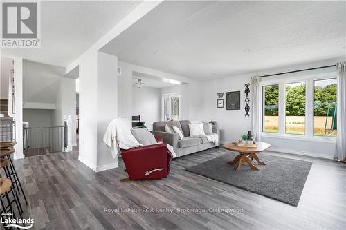 615796 3Rd Line, Blue Mountains (Blue Mountain Resort Area), ON - Indoor Photo Showing Living Room