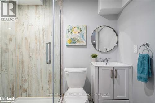 615796 3Rd Line, Blue Mountains (Blue Mountain Resort Area), ON - Indoor Photo Showing Bathroom