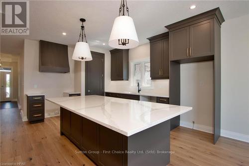 117 Kastner Street, Stratford (Ellice), ON - Indoor Photo Showing Kitchen With Upgraded Kitchen