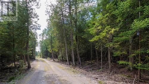 97 Devils Glen Road, Northern Bruce Peninsula, ON 