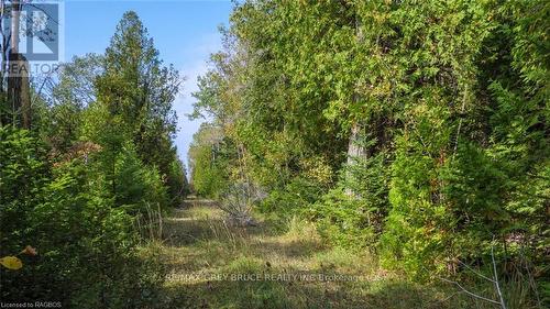 97 Devils Glen Road, Northern Bruce Peninsula, ON 