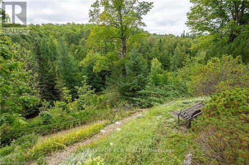 400454 Grey Road 4, Grey Highlands, ON - Outdoor With View