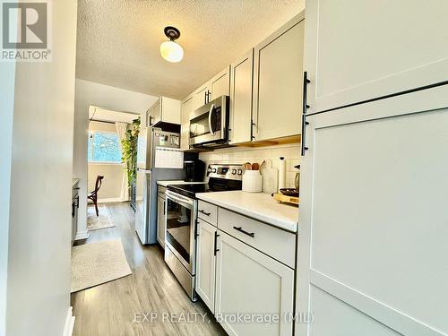 28 - 28 Lamson Crescent, Owen Sound, ON - Indoor Photo Showing Kitchen