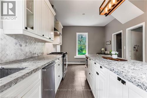 170 Durham Road A, Grey Highlands (Priceville), ON - Indoor Photo Showing Kitchen With Upgraded Kitchen