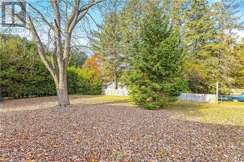 274 Alma Street, Guelph/Eramosa (Rockwood), ON 