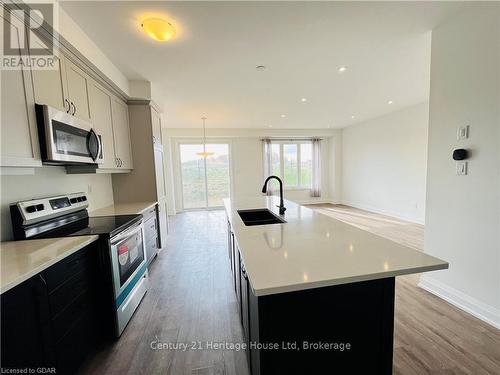 216 Histand Trail, Kitchener, ON - Indoor Photo Showing Kitchen With Double Sink With Upgraded Kitchen