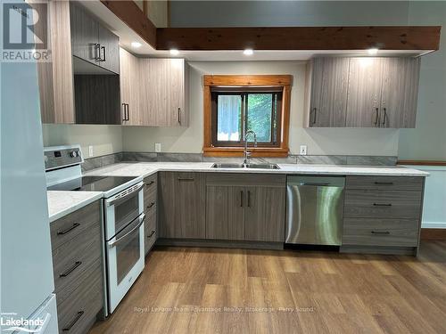 149 Highway 124, Mcdougall, ON - Indoor Photo Showing Kitchen With Double Sink