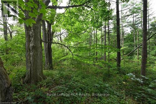 Lot 437 South River Road, Centre Wellington (Elora/Salem), ON 