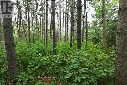 Lot 437 South River Road, Centre Wellington (Elora/Salem), ON 