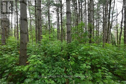 Lot 441 South River Road, Centre Wellington (Elora/Salem), ON 