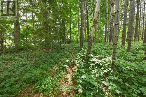 Lot 441 South River Road, Centre Wellington (Elora/Salem), ON 