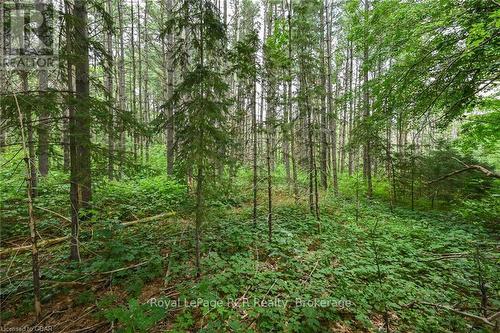 Lot 441 South River Road, Centre Wellington (Elora/Salem), ON 