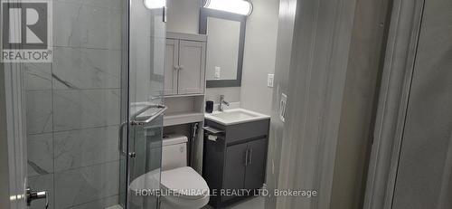 Bsmt - 718 Speyer Circle, Milton, ON - Indoor Photo Showing Bathroom