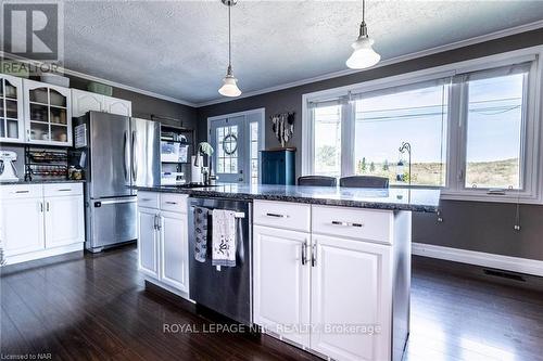 172 Barrick Road, Port Colborne (877 - Main Street), ON - Indoor Photo Showing Kitchen