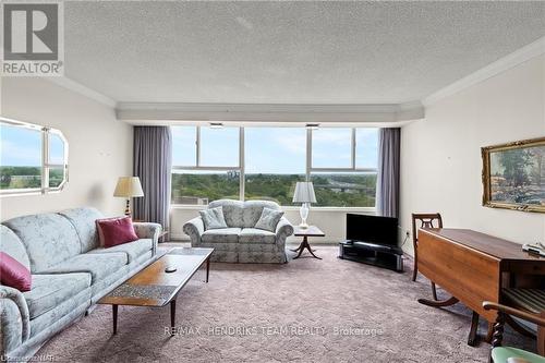 407 - 7 Gale Crescent, St. Catharines (450 - E. Chester), ON - Indoor Photo Showing Living Room