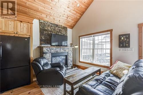 10849 Lakeshore Road W, Wainfleet (880 - Lakeshore), ON - Indoor Photo Showing Living Room With Fireplace