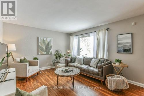 201 Elliott Street, London, ON - Indoor Photo Showing Living Room