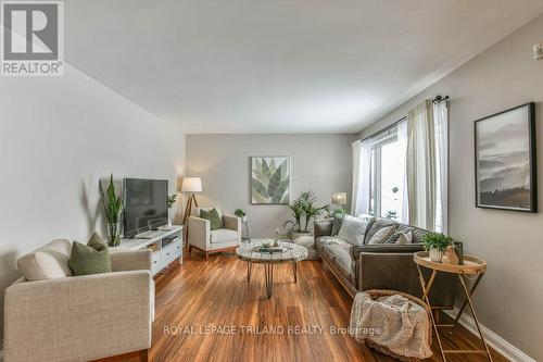 201 Elliott Street, London, ON - Indoor Photo Showing Living Room