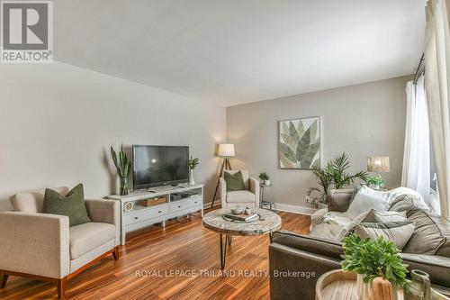 201 Elliott Street, London, ON - Indoor Photo Showing Living Room