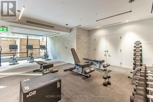 705 N - 117 Broadway Avenue, Toronto, ON - Indoor Photo Showing Gym Room