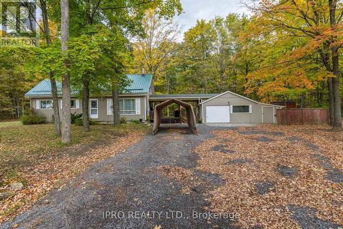 3857 County Rd 36 Road, Galway-Cavendish And Harvey, ON - Outdoor