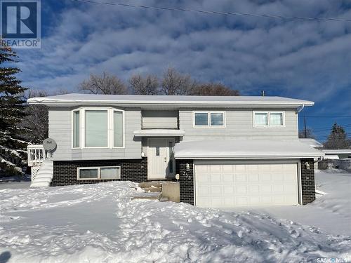 233 Lorne Street W, Swift Current, SK - Outdoor