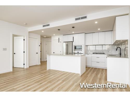 1401 8551 201 Street, Langley, BC - Indoor Photo Showing Kitchen With Upgraded Kitchen