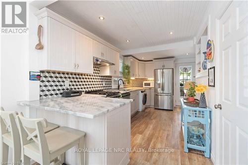 21 Johnston Street, St. Catharines (438 - Port Dalhousie), ON - Indoor Photo Showing Kitchen With Upgraded Kitchen