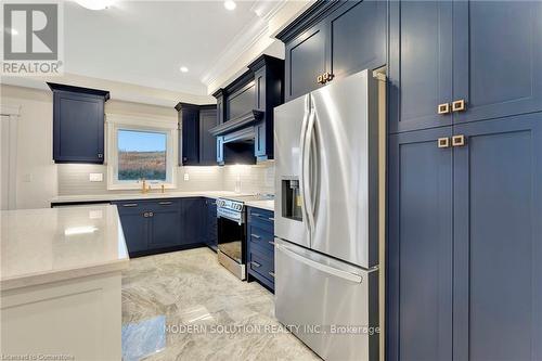 37 Macklin Street, Brantford, ON - Indoor Photo Showing Kitchen With Stainless Steel Kitchen With Upgraded Kitchen