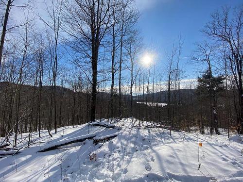 Photo aÃ©rienne - Ch. Du Domaine-Du-Lac-Grenville, Grenville-Sur-La-Rouge, QC 