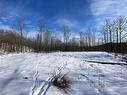 Vue d'ensemble - Ch. Du Domaine-Du-Lac-Grenville, Grenville-Sur-La-Rouge, QC 