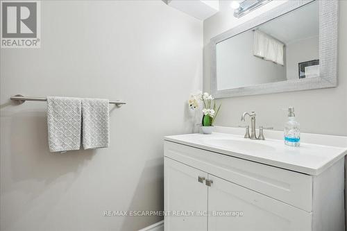 8 Felicia Court, Hamilton, ON - Indoor Photo Showing Bathroom