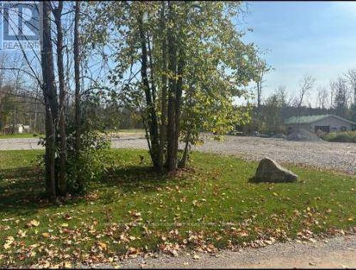 Lot 45 River Road, Kawartha Lakes (Fenelon Falls), ON 