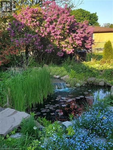 View of pond - 19 Halifax Drive, Kitchener, ON - Outdoor