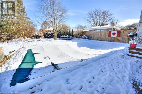 View of snowy yard - 19 Halifax Drive, Kitchener, ON - Outdoor