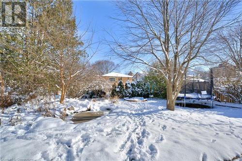 Snowy yard featuring a trampoline - 19 Halifax Drive, Kitchener, ON - Outdoor