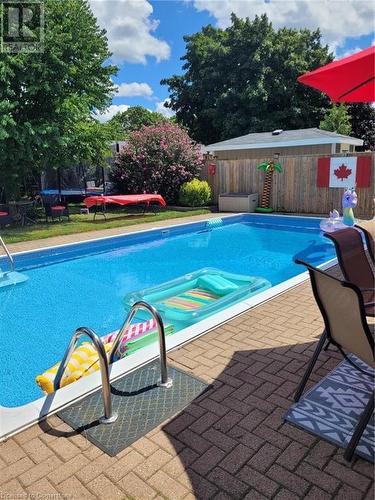 View of swimming pool with a patio and a trampoline - 19 Halifax Drive, Kitchener, ON - Outdoor With In Ground Pool With Backyard