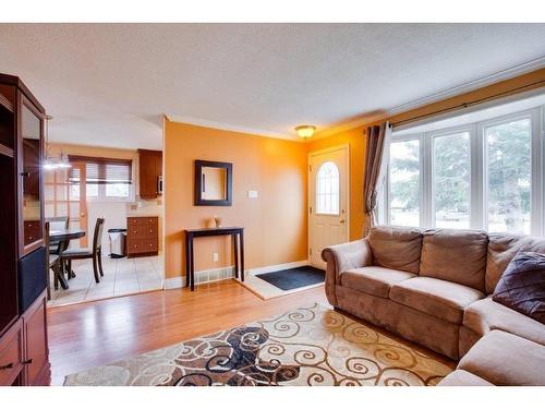 Vue d'ensemble - 287 Rue Docteur-J.-Cousineau, Gatineau (Gatineau), QC - Indoor Photo Showing Living Room