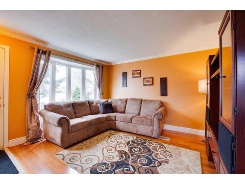 Salon - 287 Rue Docteur-J.-Cousineau, Gatineau (Gatineau), QC - Indoor Photo Showing Living Room