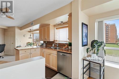 99 Robson Road, Leamington, ON - Indoor Photo Showing Kitchen With Double Sink