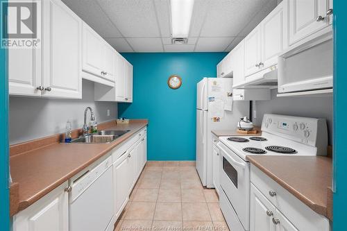 99 Robson Road, Leamington, ON - Indoor Photo Showing Kitchen With Double Sink