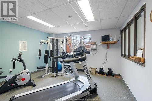 99 Robson Road, Leamington, ON - Indoor Photo Showing Gym Room