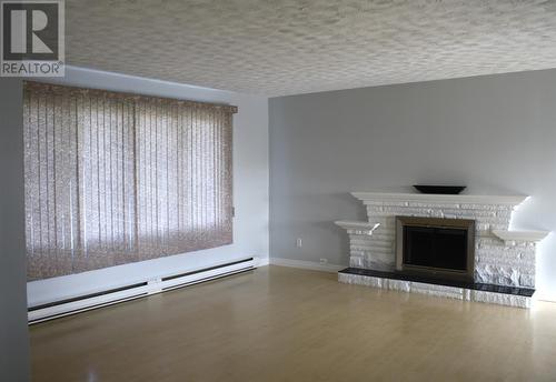 173 Canada Drive, St. John'S, NL - Indoor With Fireplace