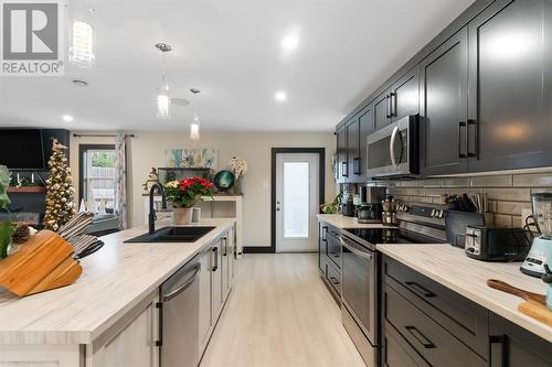 22 Phoenix Drive, Paradise, NL - Indoor Photo Showing Kitchen With Double Sink