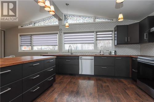 439 Paris Street, Sudbury, ON - Indoor Photo Showing Kitchen With Upgraded Kitchen